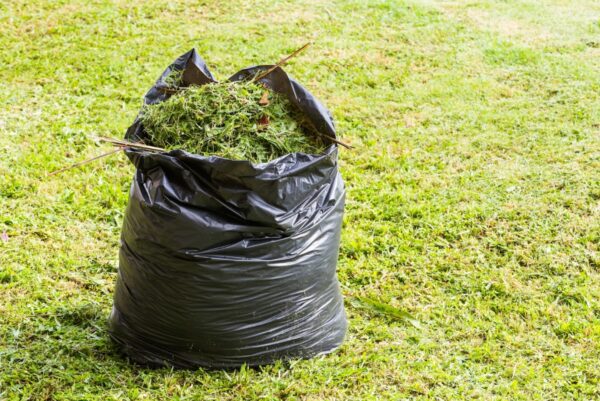 Spring/Fall Clean Up