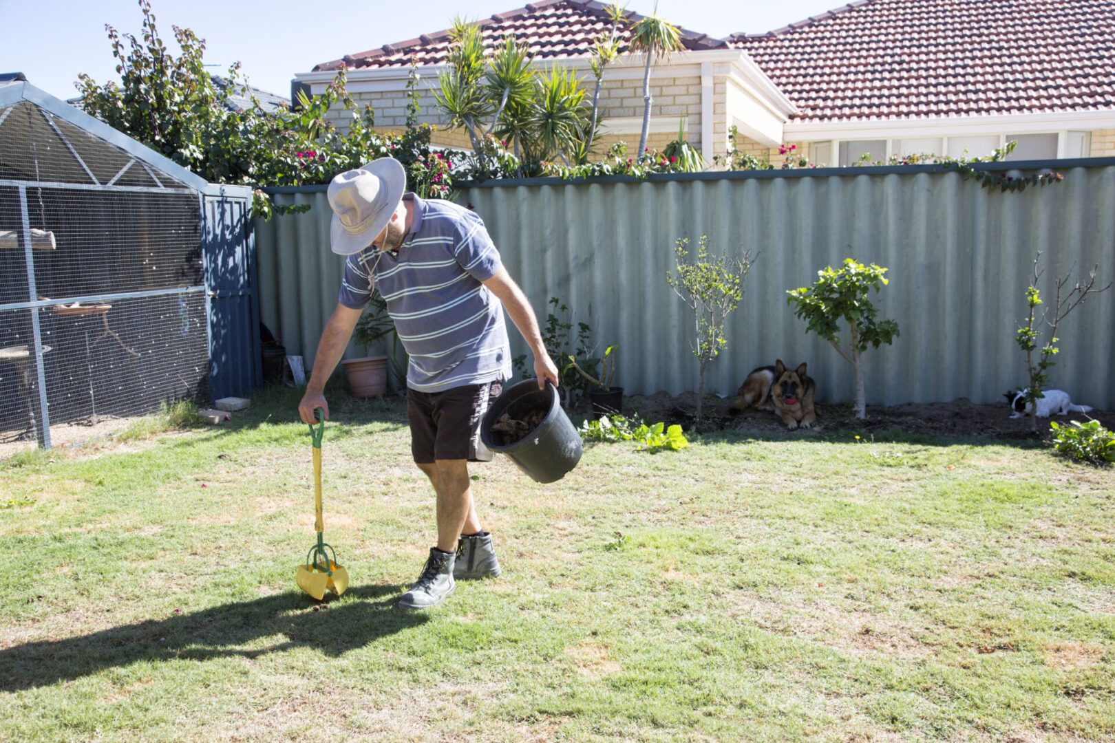 Man gardening in a backyard under sunlight.